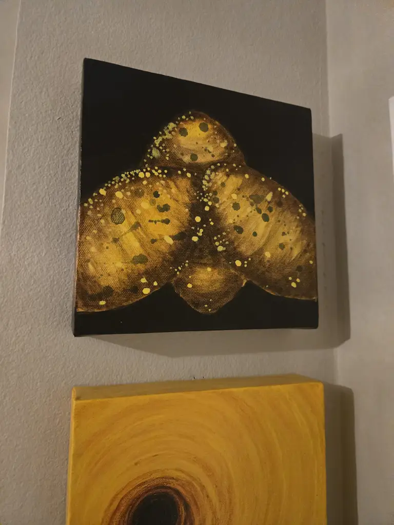 Rannvá Holm Mortensen - Image 3