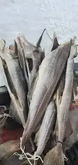 Gódur Fiskur Til Sølu..