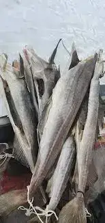 Gódur Fiskur Til Sølu.. Image