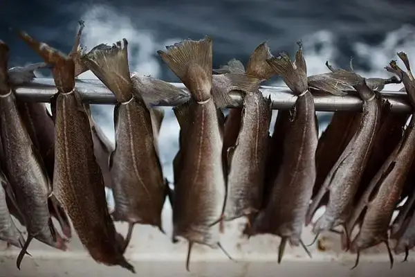 Gódur Fiskur Til Sølu..