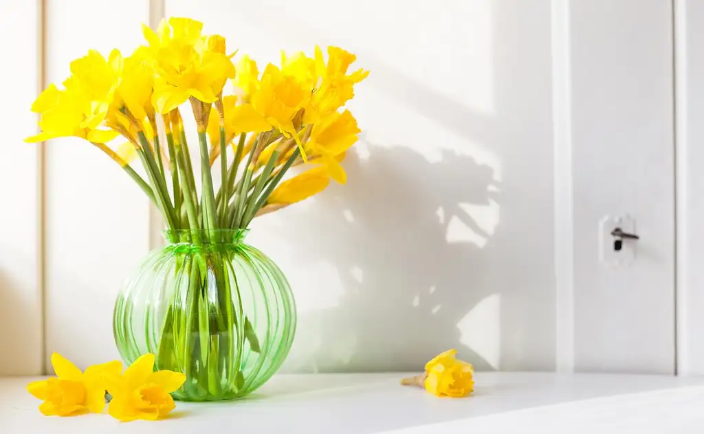 Påskaliljur  Til  Sølu.. - Image 2